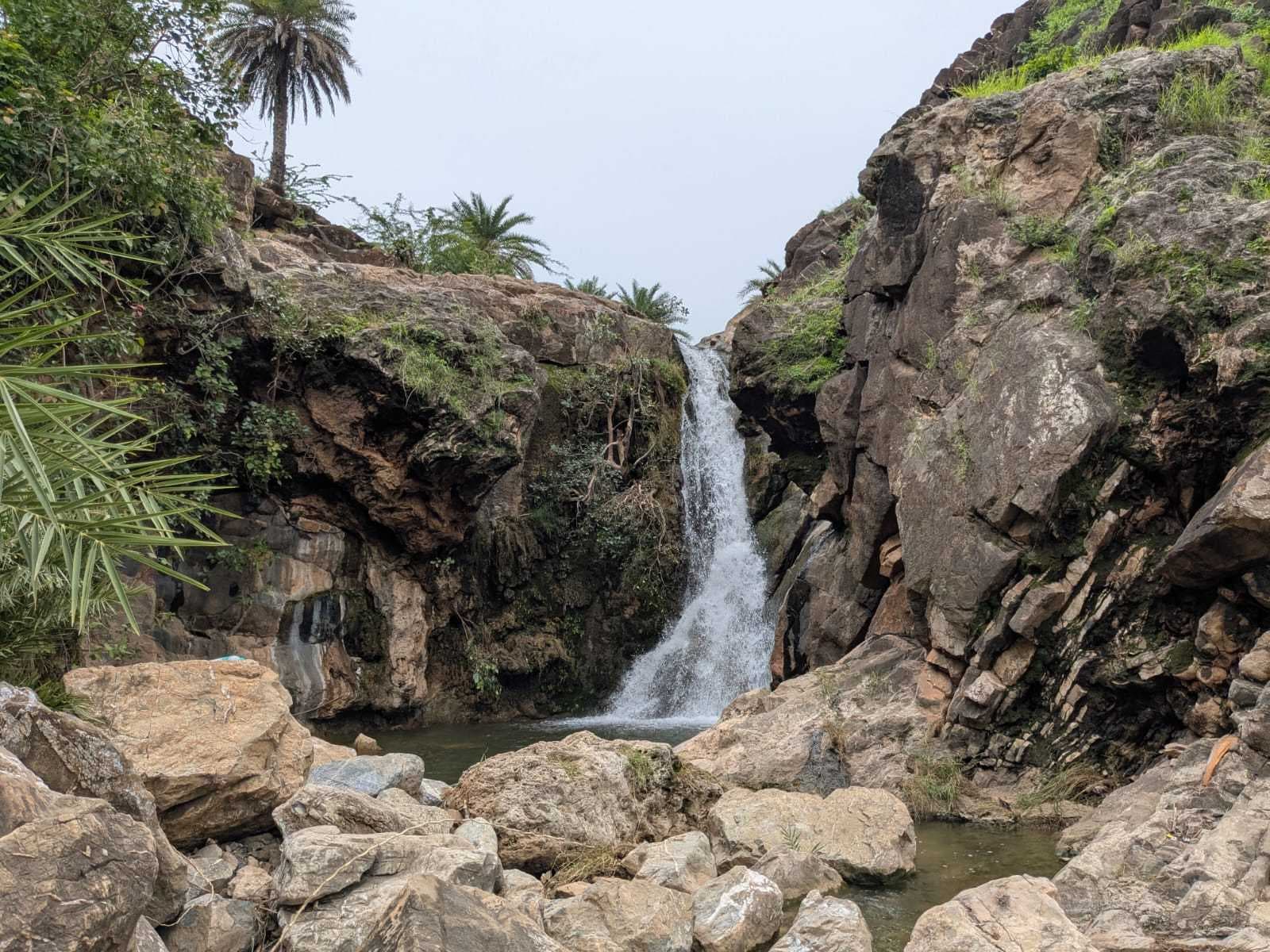 Embrace the Nature's Call, Join Our Guided Aravali Hike and escape the ordinary